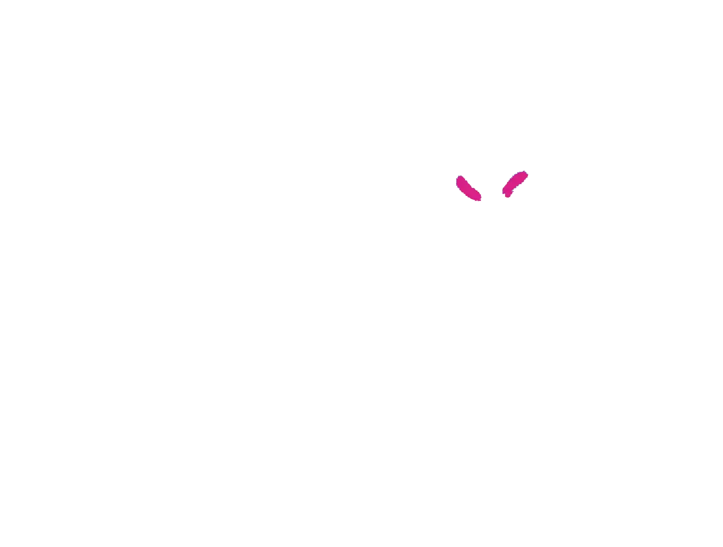 logo eyes